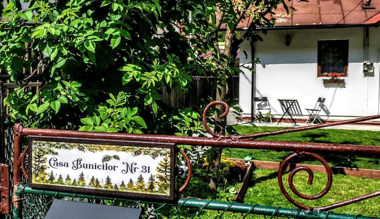 Вілла Casa Bunicilor Сіная Екстер'єр фото